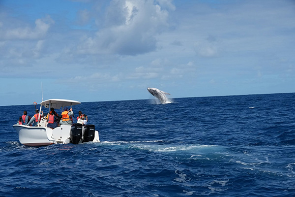 trip to sainte marie island